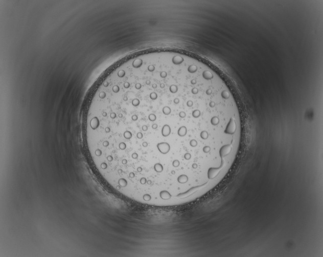 X0000115710886200912241541