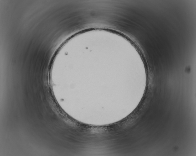 X0000115710887200912241541