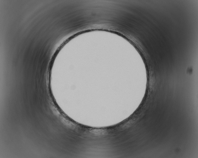 X0000115710888200912241541