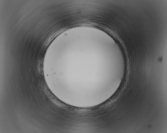 X0000115710889200912241541