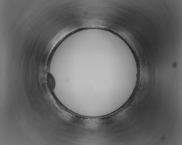 X0000115710893200912241541