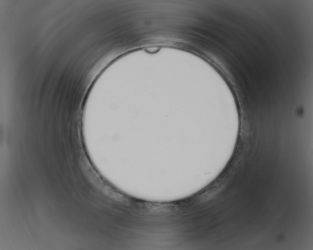 X0000115710899200912241541