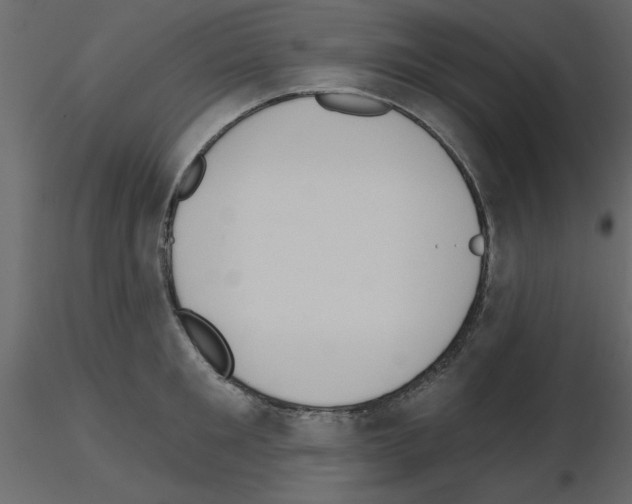 X0000115710901200912241541