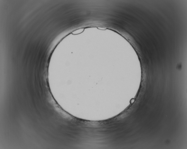 X0000115710904200912241541