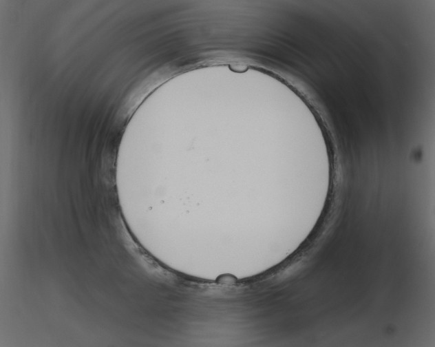 X0000115710905200912241541