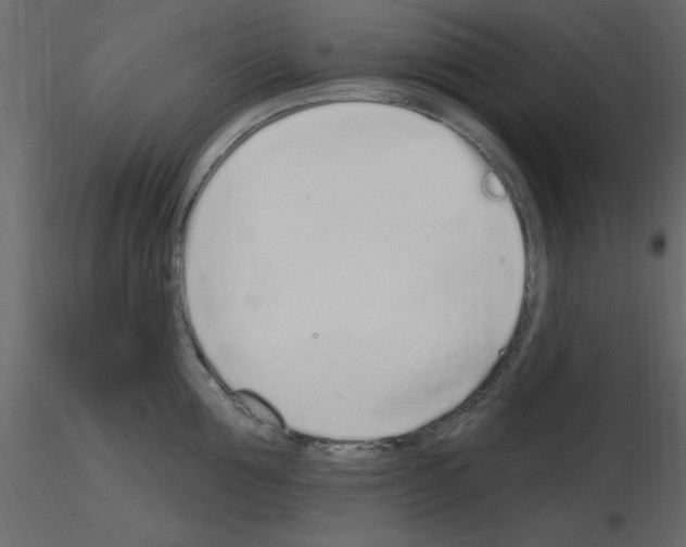 X0000115710907200912241541