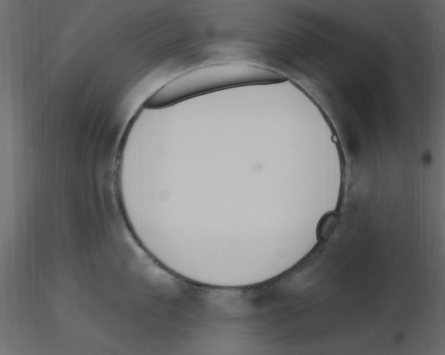 X0000115710909200912241541