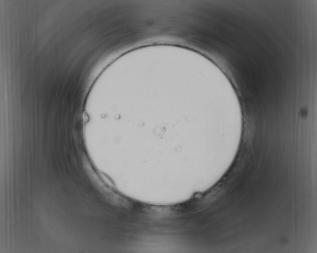 X0000115710911200912241541