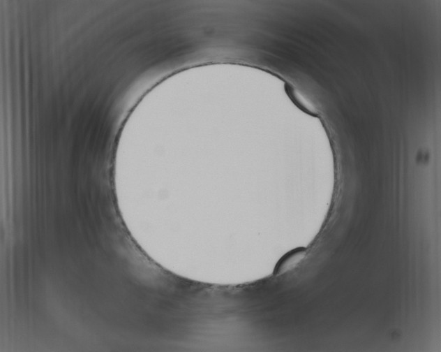 X0000115710912200912241541