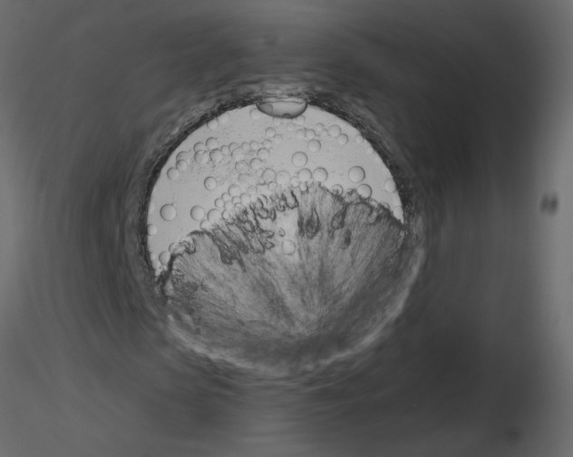 X0000115710913200912241540