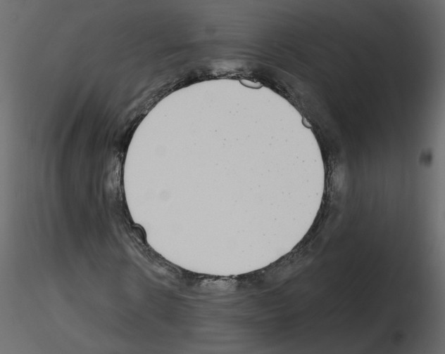 X0000115710914200912241540