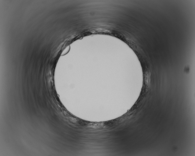 X0000115710915200912241540