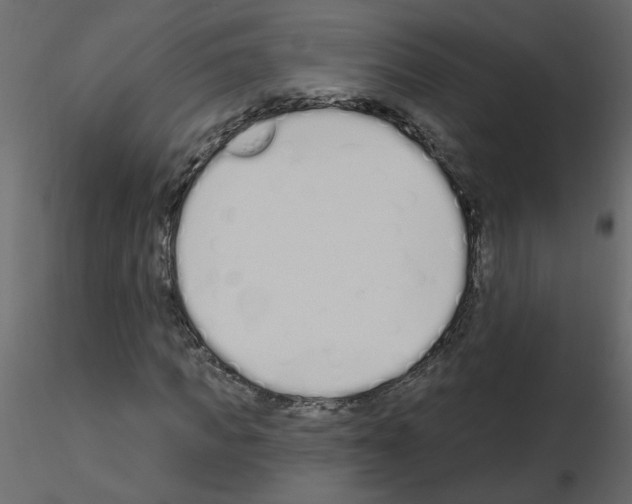 X0000115710917200912241540