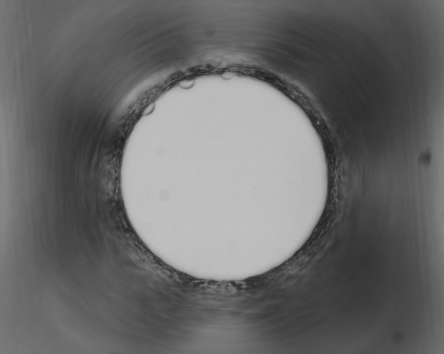 X0000115710919200912241540