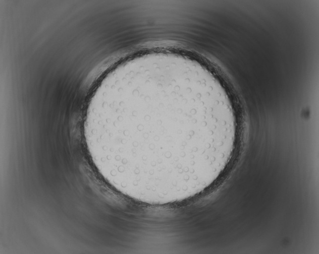 X0000115710921200912241540