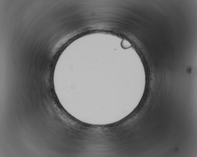 X0000115710922200912241540