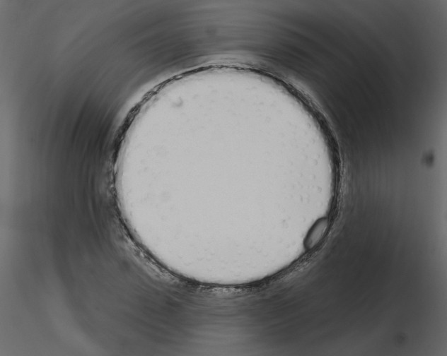 X0000115710923200912241540