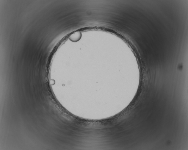 X0000115710927200912241540