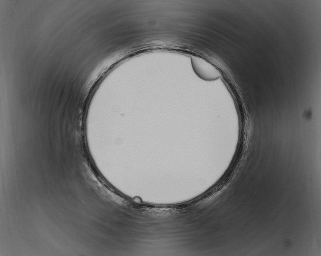 X0000115710930200912241540