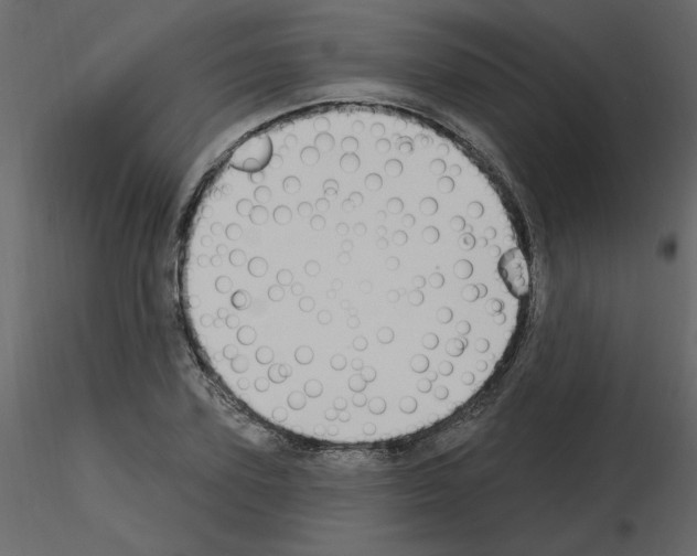 X0000115710931200912241541