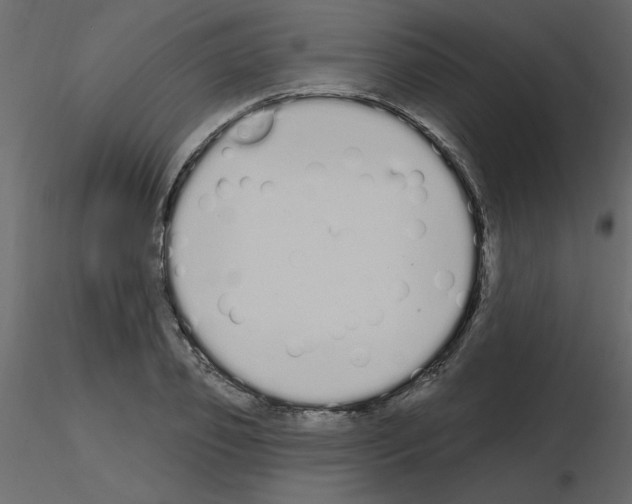 X0000115710933200912241541