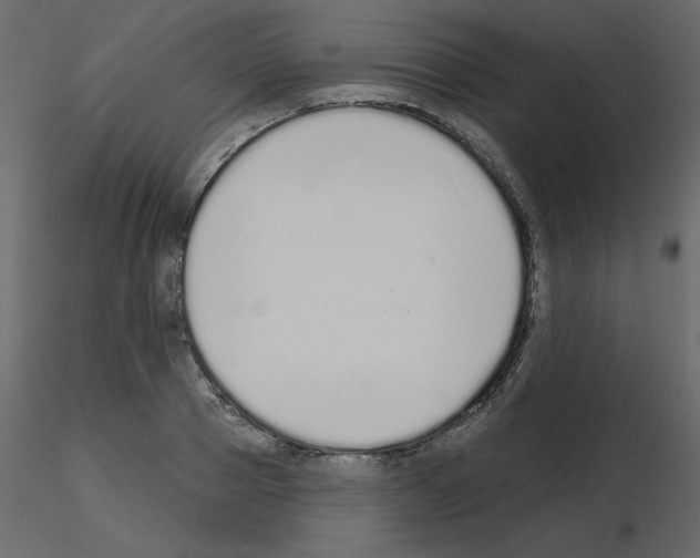 X0000115710937200912241541