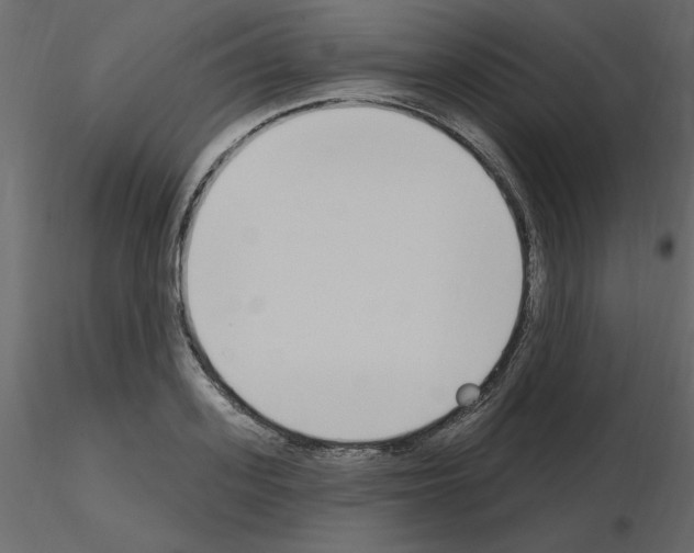 X0000115710939200912241541