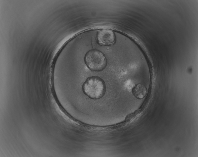 X0000115710941200912241541