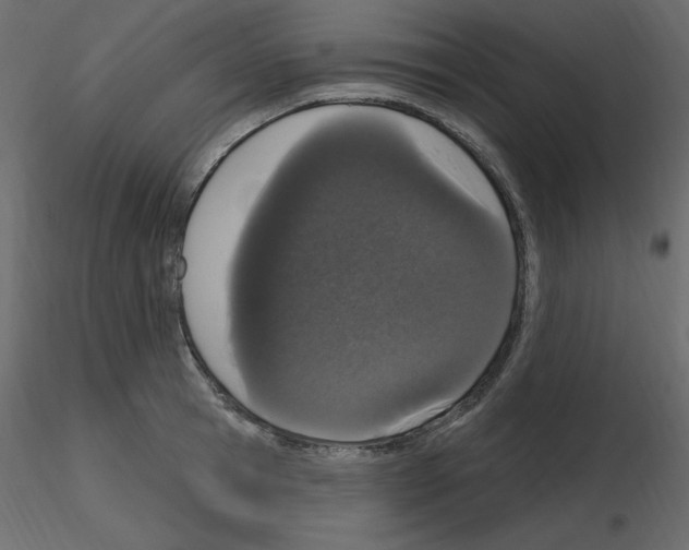 X0000115710945200912241541