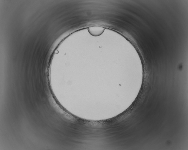 X0000115710947200912241541