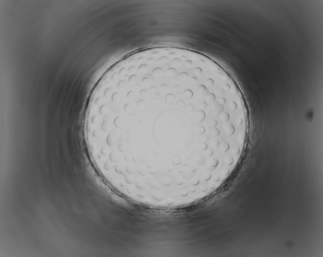 X0000115710949200912241541