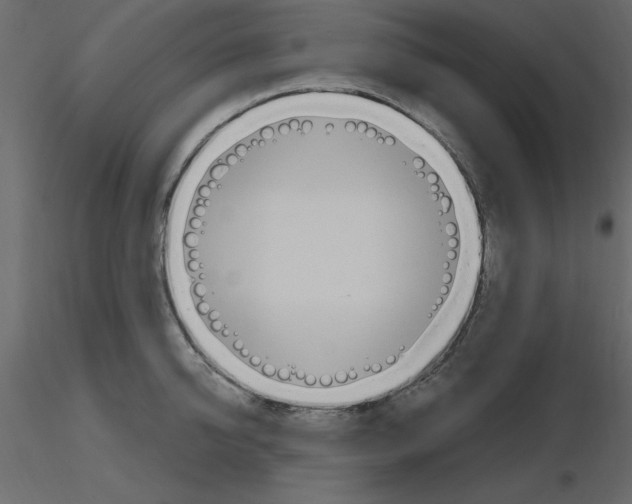 X0000115710950200912241541