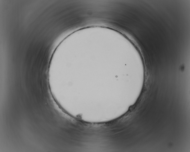 X0000115710951200912241541