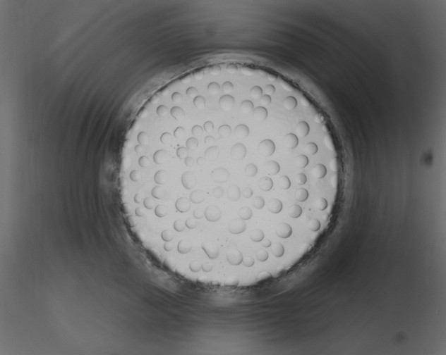 X0000115710953200912241541