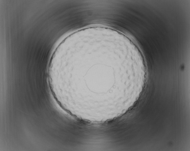 X0000115710955200912241541