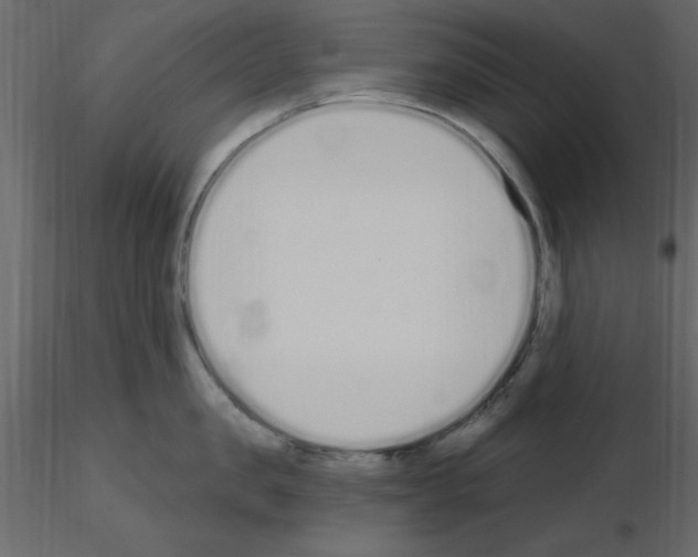 X0000115710957200912241541