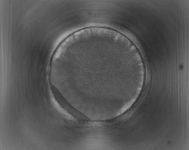 X0000115710958200912241541