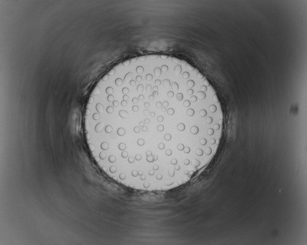 X0000115710962200912241540