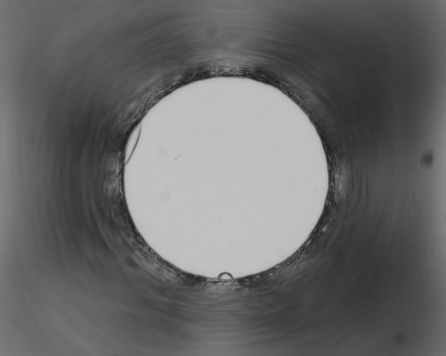 X0000115710964200912241540