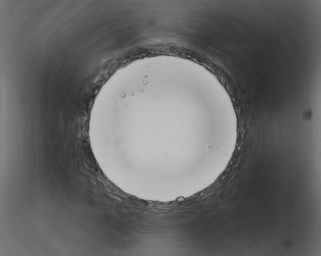 X0000115710965200912241540