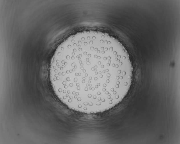 X0000115710966200912241540