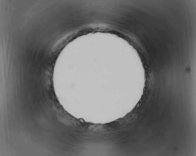 X0000115710967200912241540