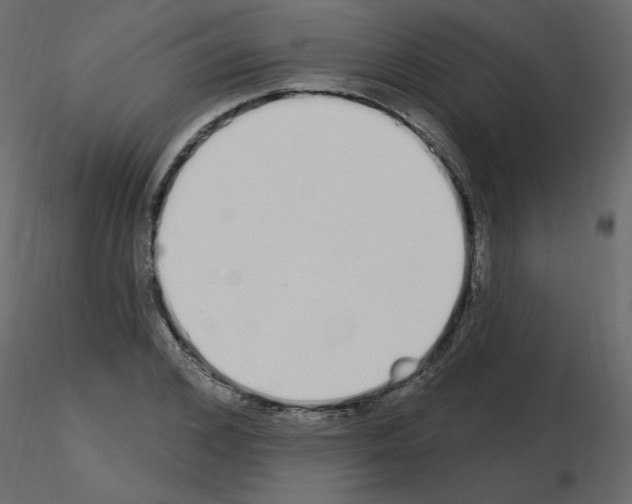 X0000115710976200912241540