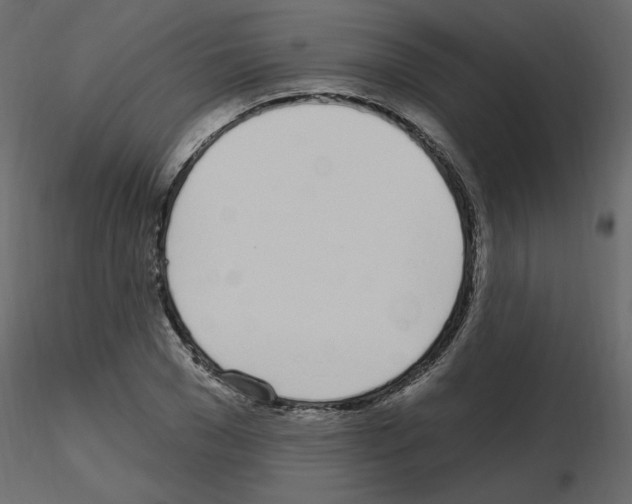 X0000115710977200912241540