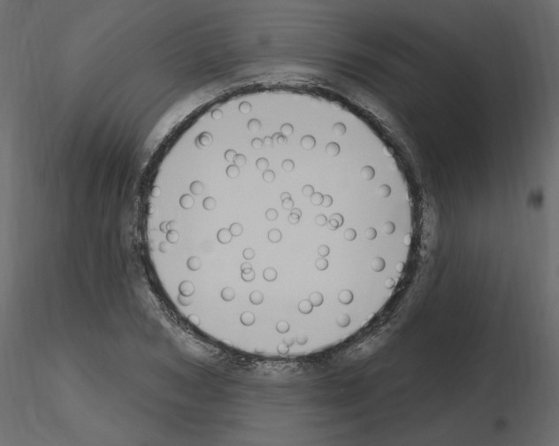 X0000115710978200912241540