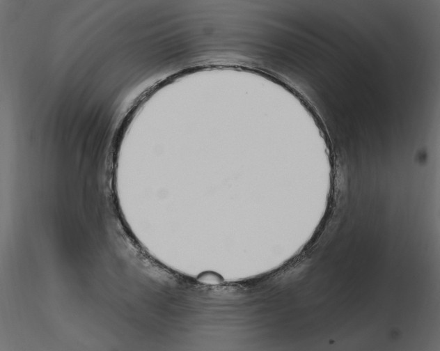 X0000115710979200912241540