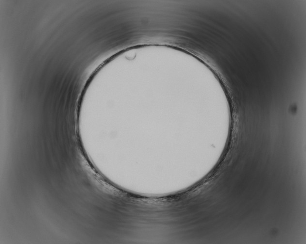 X0000115710980200912241540