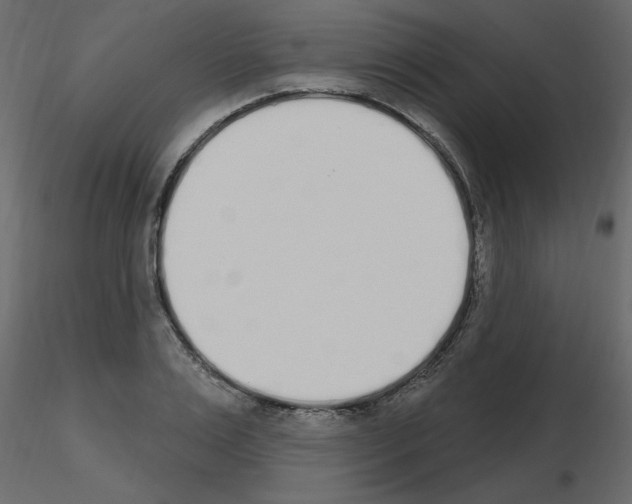 X0000115710983200912241540