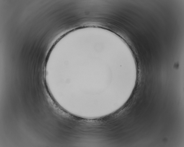 X0000115710984200912241540