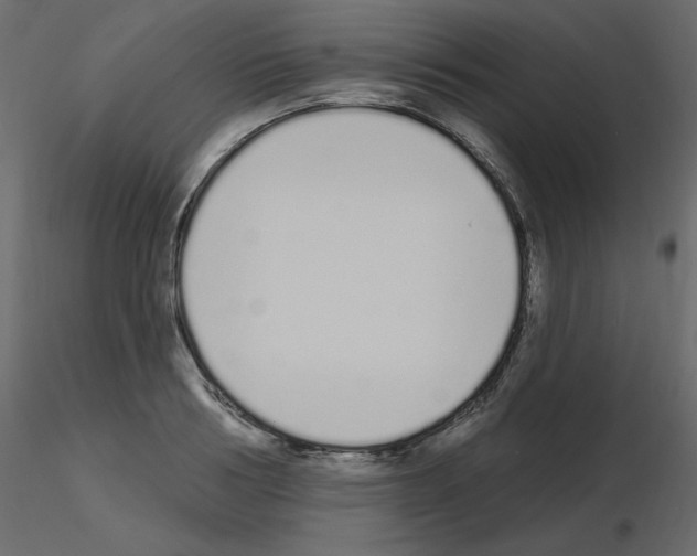 X0000115710986200912241540